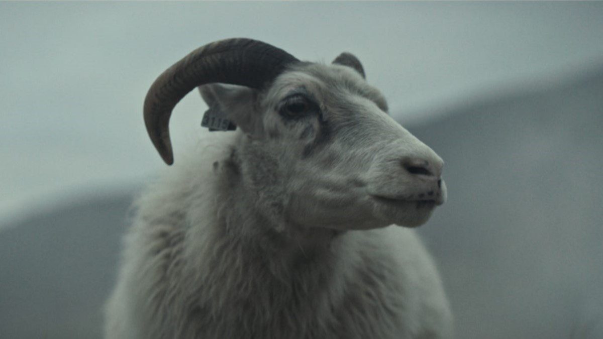 lamb-2021-the-lamb-mother-3115