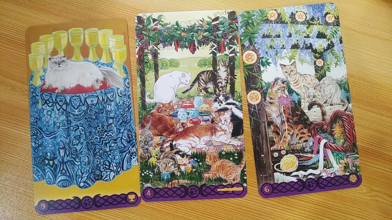 tarot-of-pagan-cats-cards-details