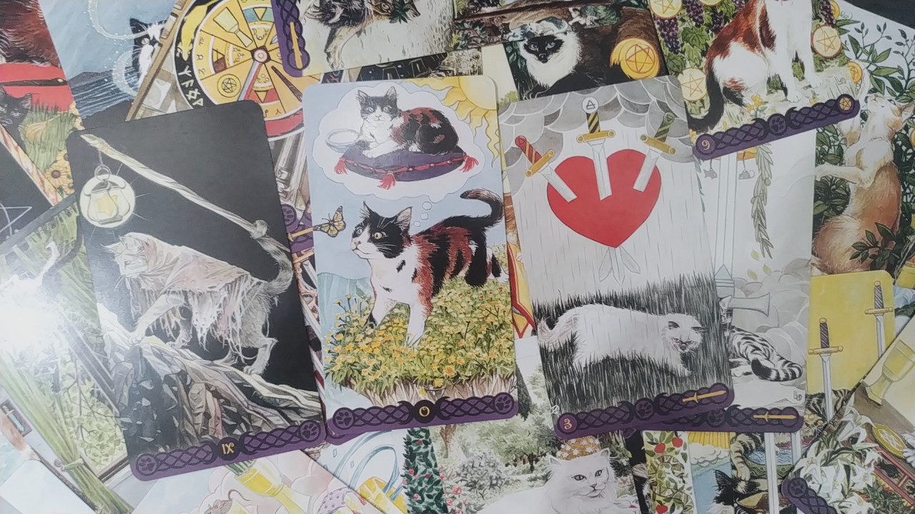 Tarot of Pagan Cats – Sức lao động nghệ thuật khủng khiếp trong từng lá bài