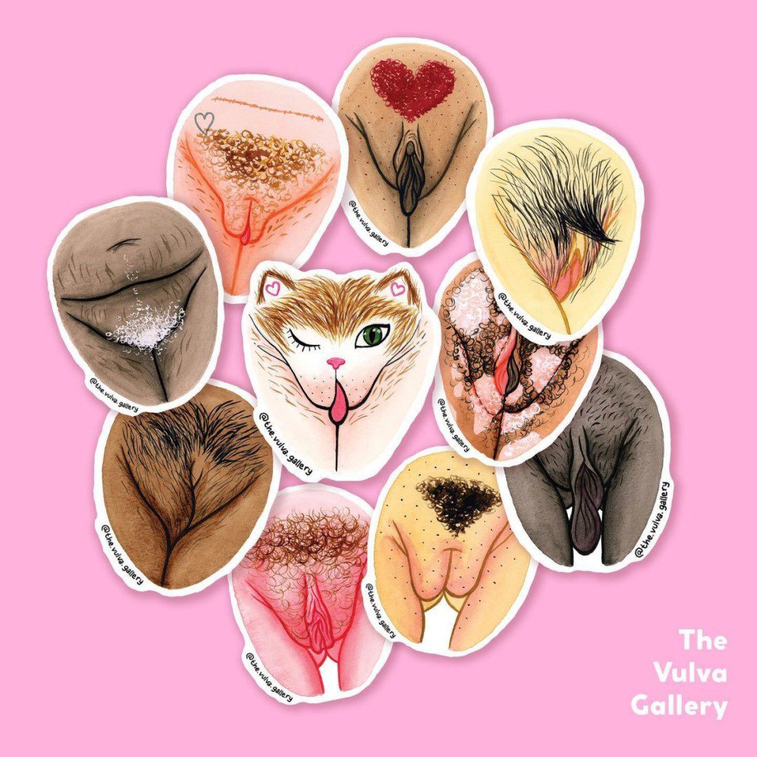 the-vulva-gallery